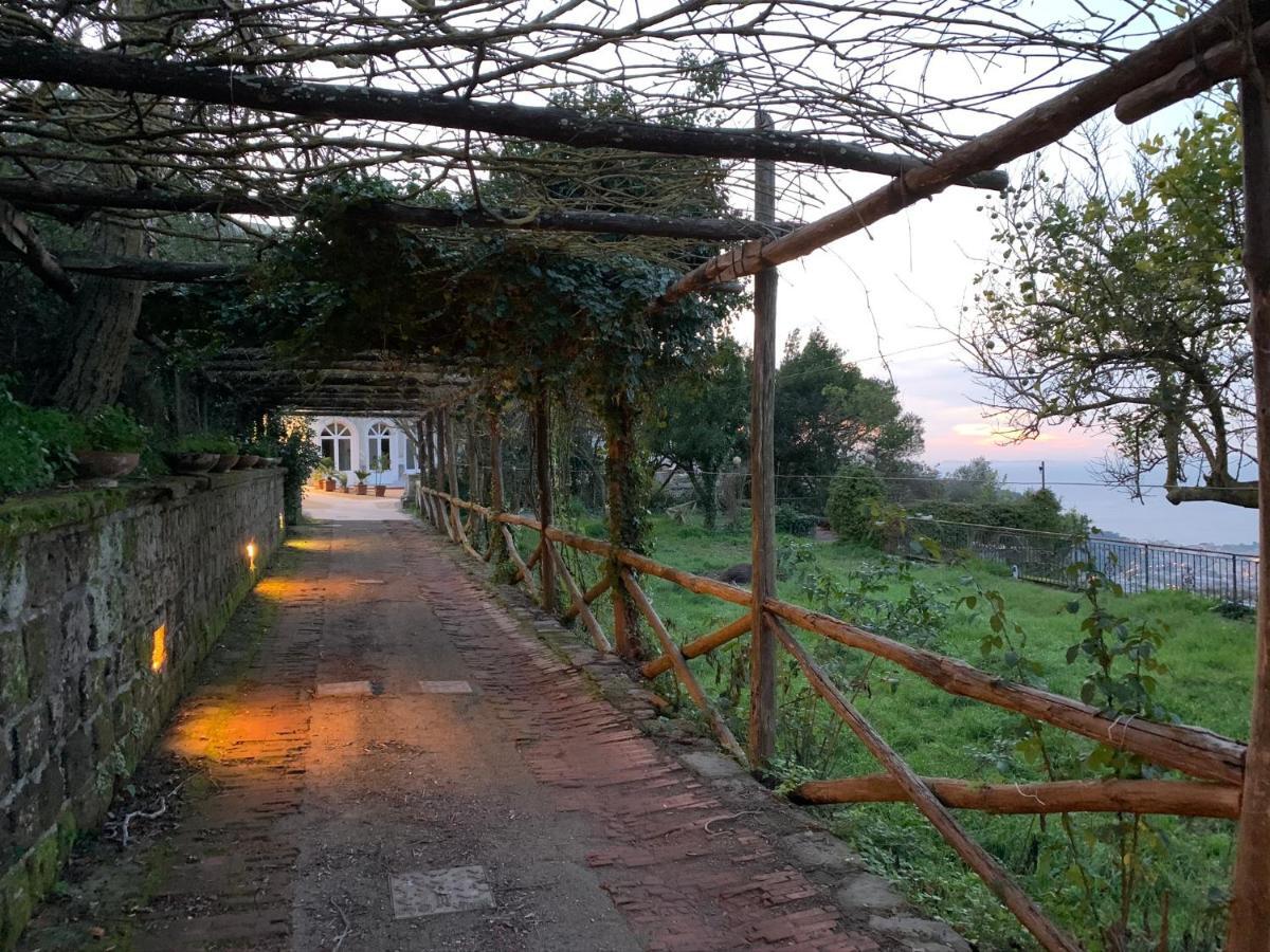 Bed and Breakfast Sunrise Luxury Experience Piano di Sorrento Esterno foto